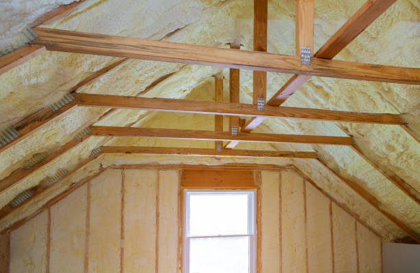 Best Residential Insulation in Naples Manor, FL